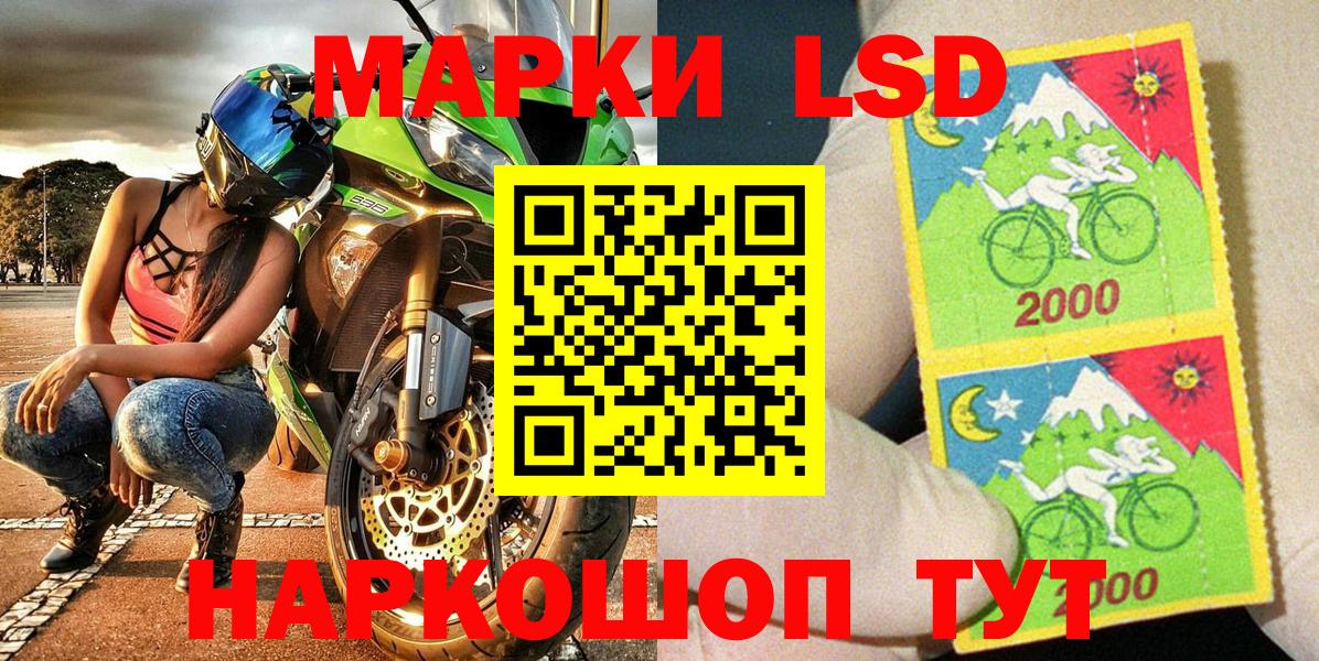 Наркотические марки 1,8мг  Наркотические марки 1,8мг  как найти закладки  Волгодонск  Вход с VPN 